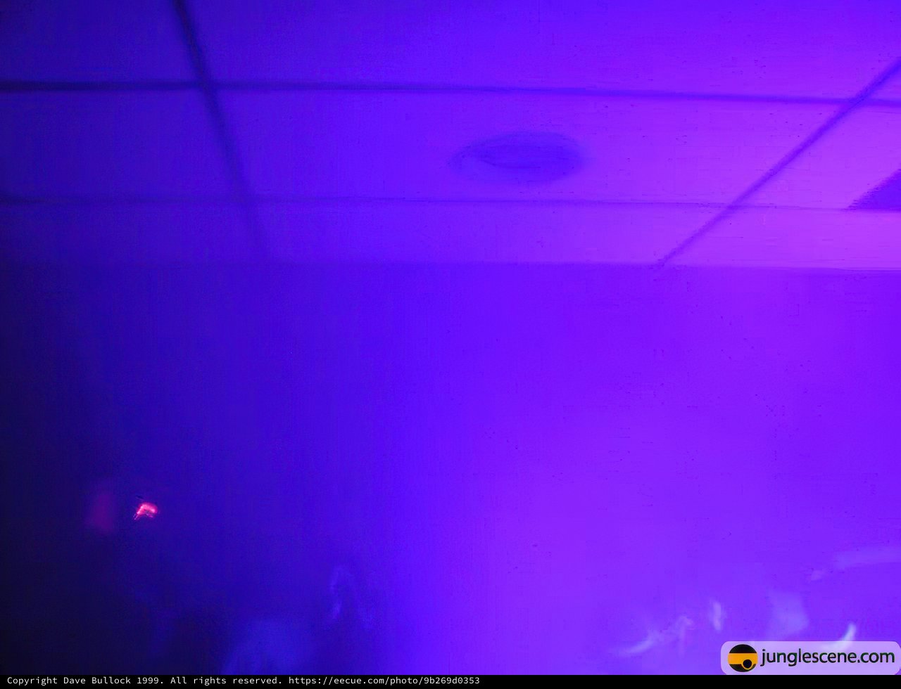 Purple Glow in Midtown Night Club