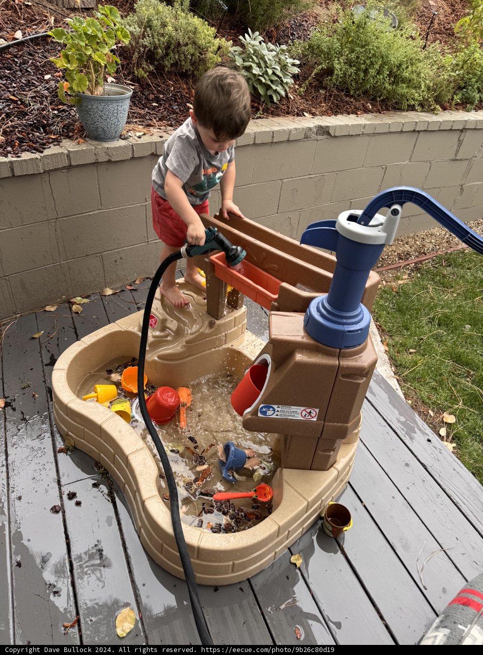 Backyard Water Fun