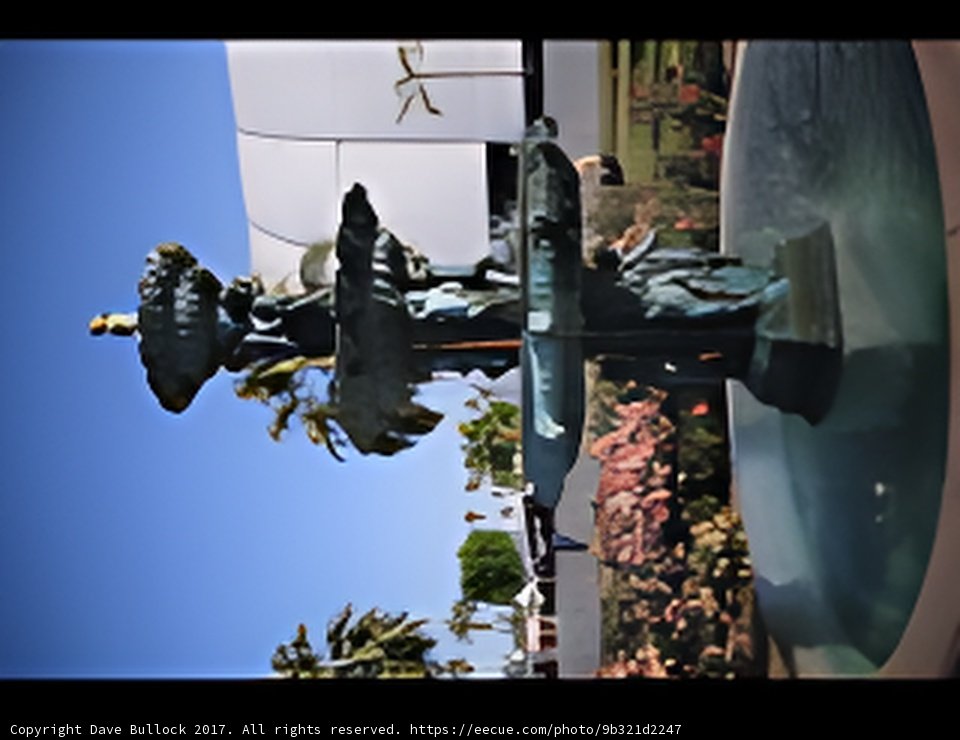 The Bird and the Fountain