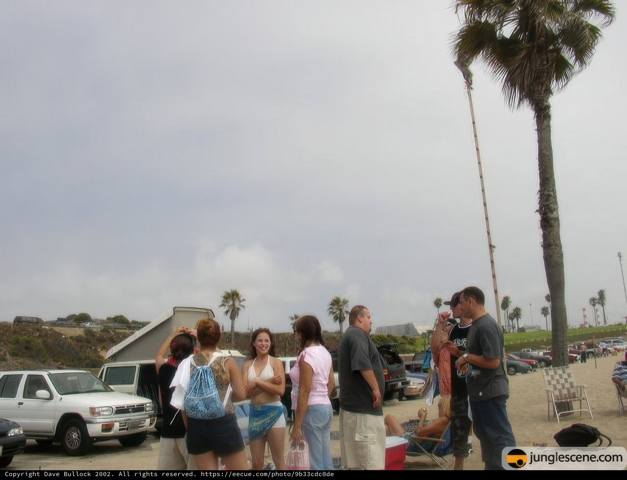 A Summer Gathering Under the Palm Tree