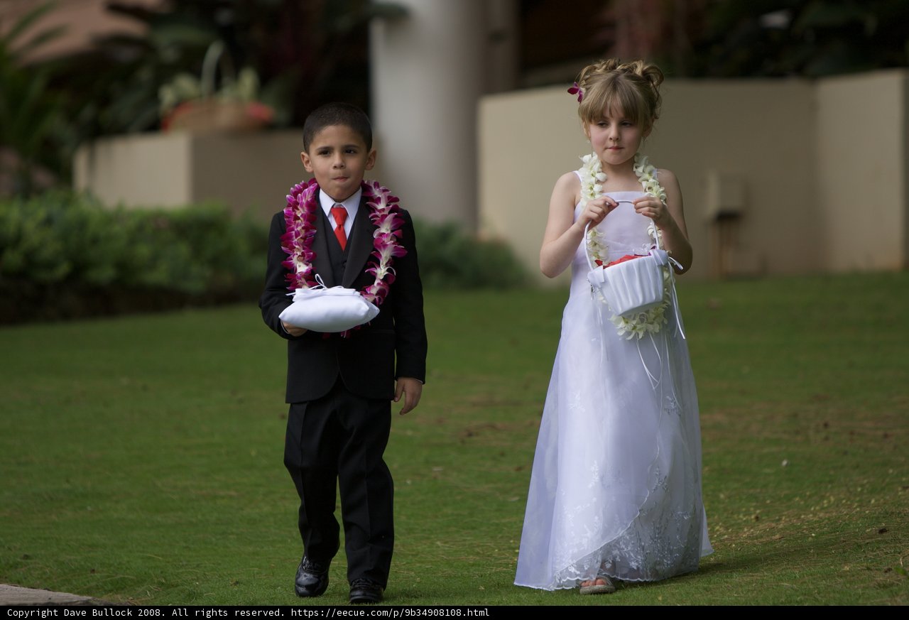 Formal Attire for a Wedding