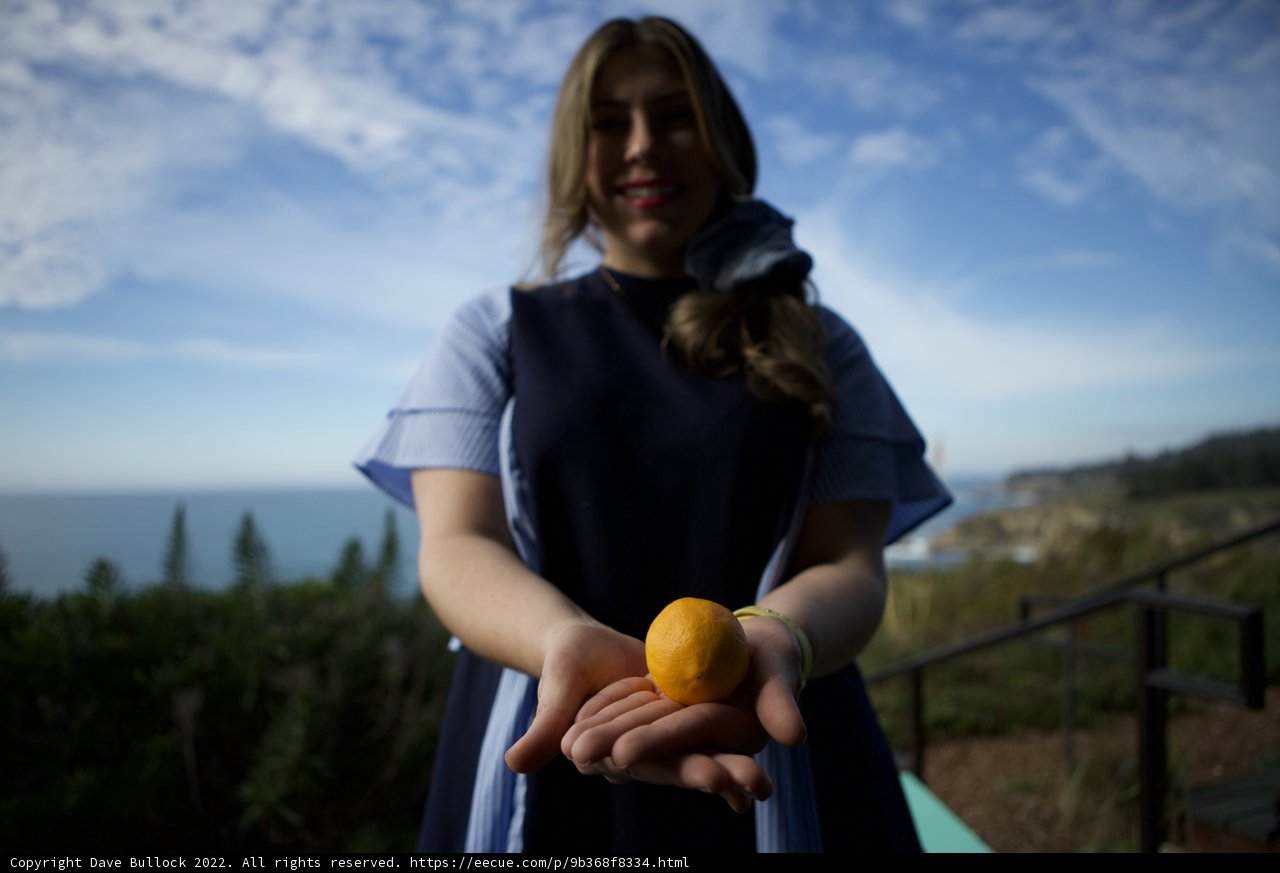 A Woman Holding a Juicy Citrus Fruit in the Open Air
