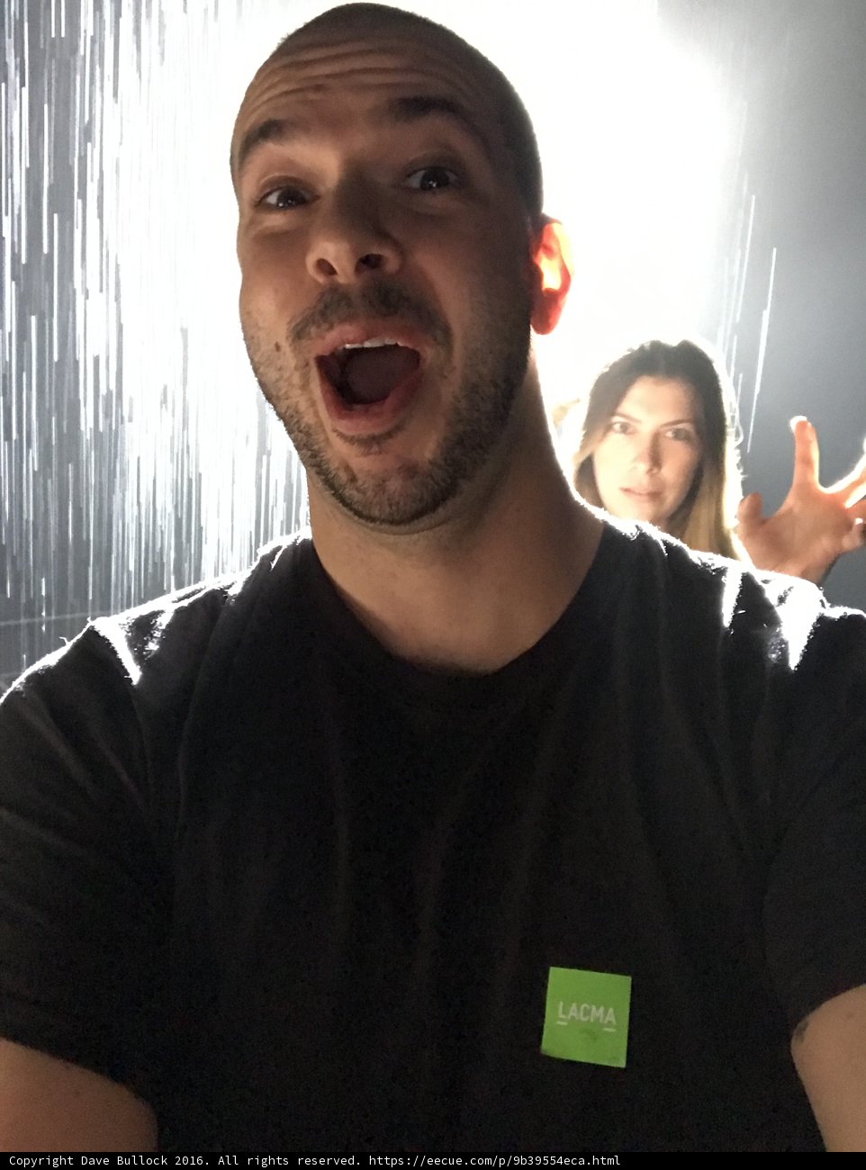 Green Screen Surprise