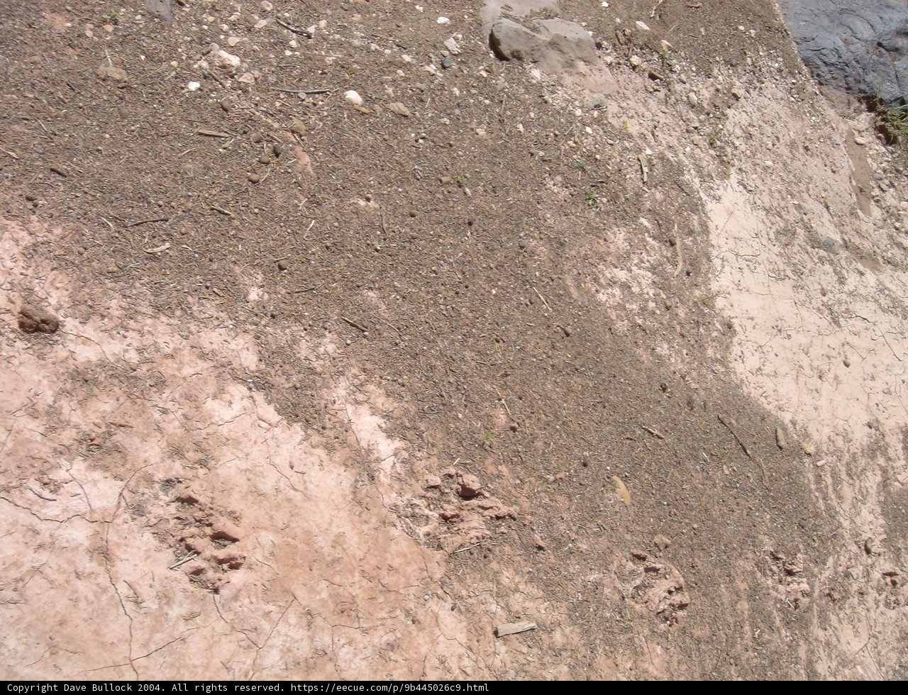 The Impressive Footprint