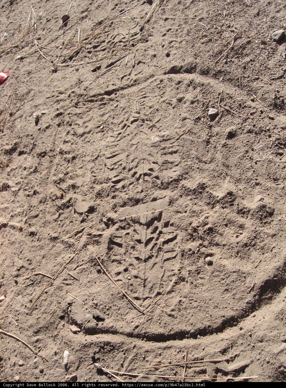 Standing on the Sandy Soil