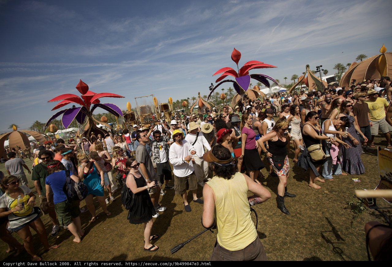 Festival Fun