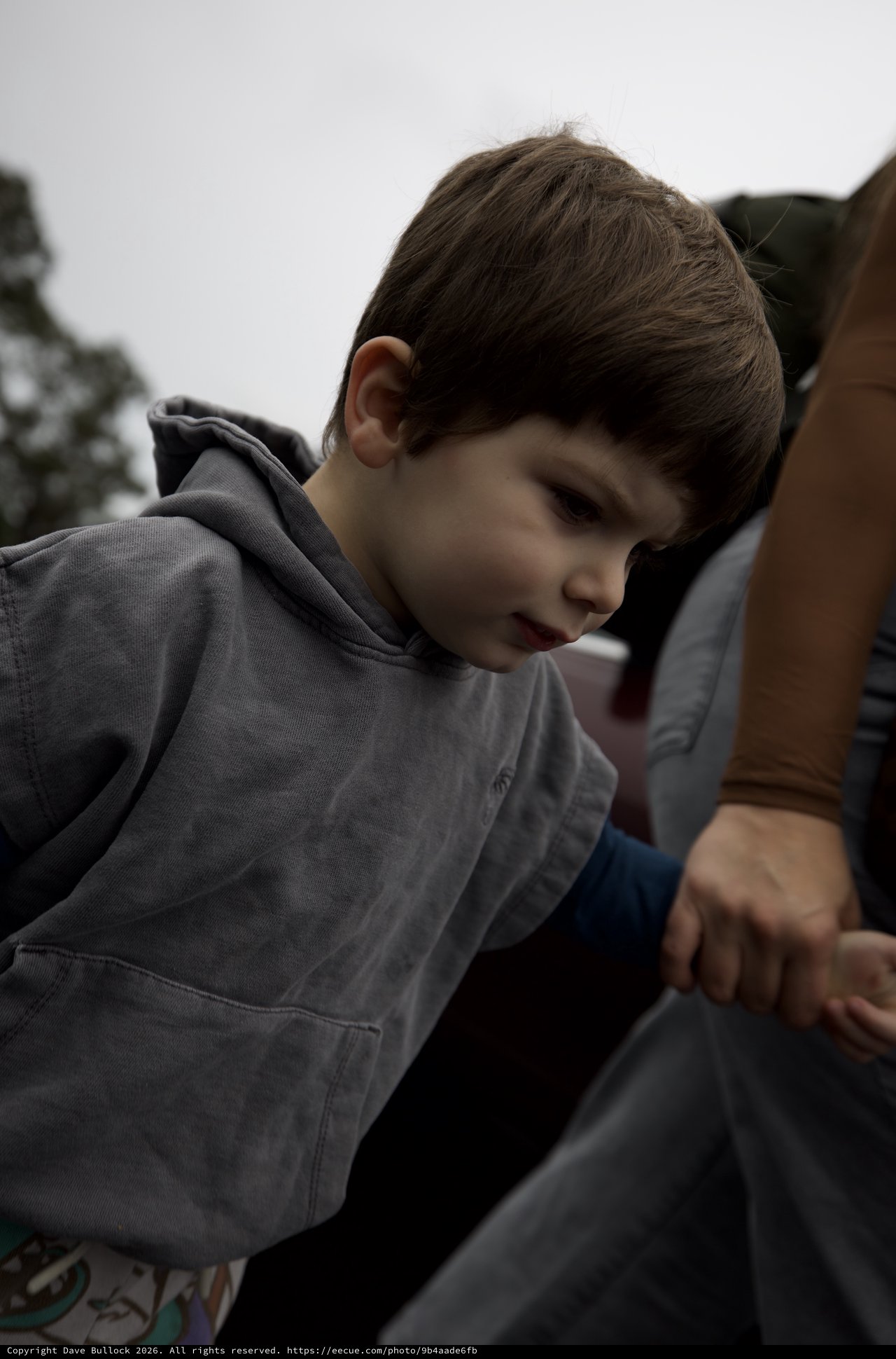 Young Boy in Thoughtful Moment at Indoor Setting
