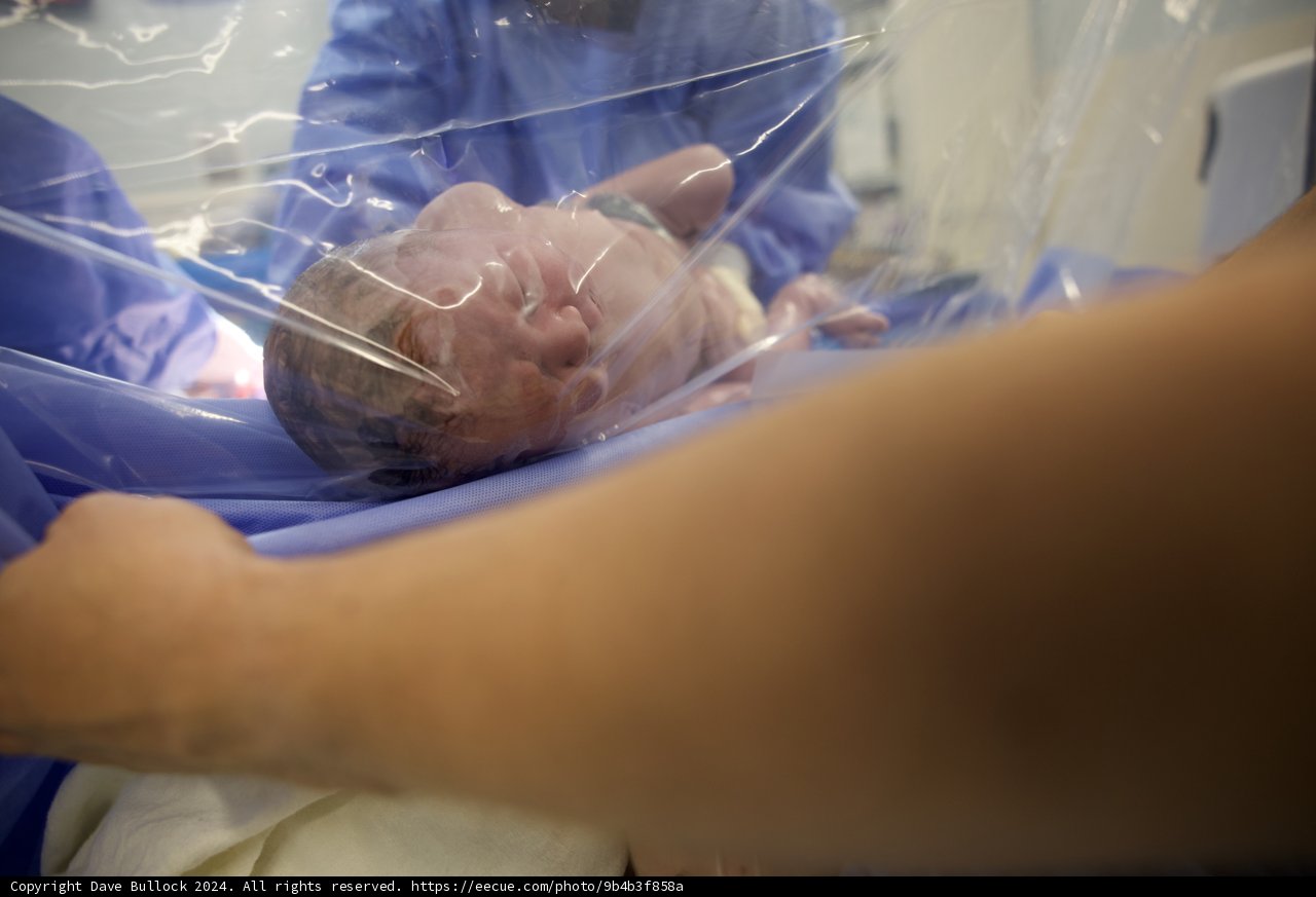 Welcome to the World, Leland