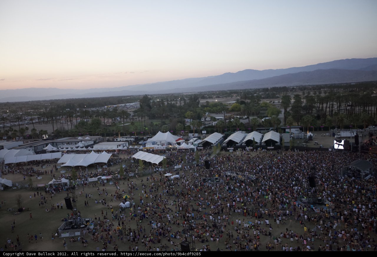 Music Festival Madness