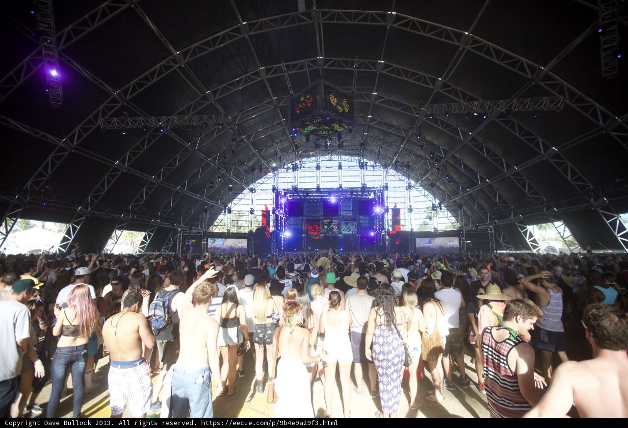 Coachella's Urban Jungle