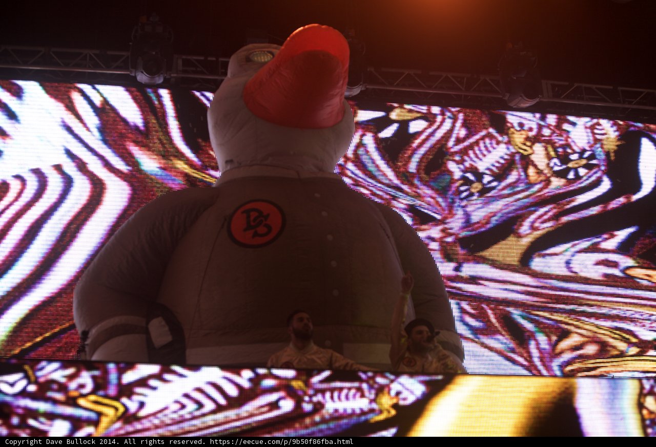Quacking Up Coachella