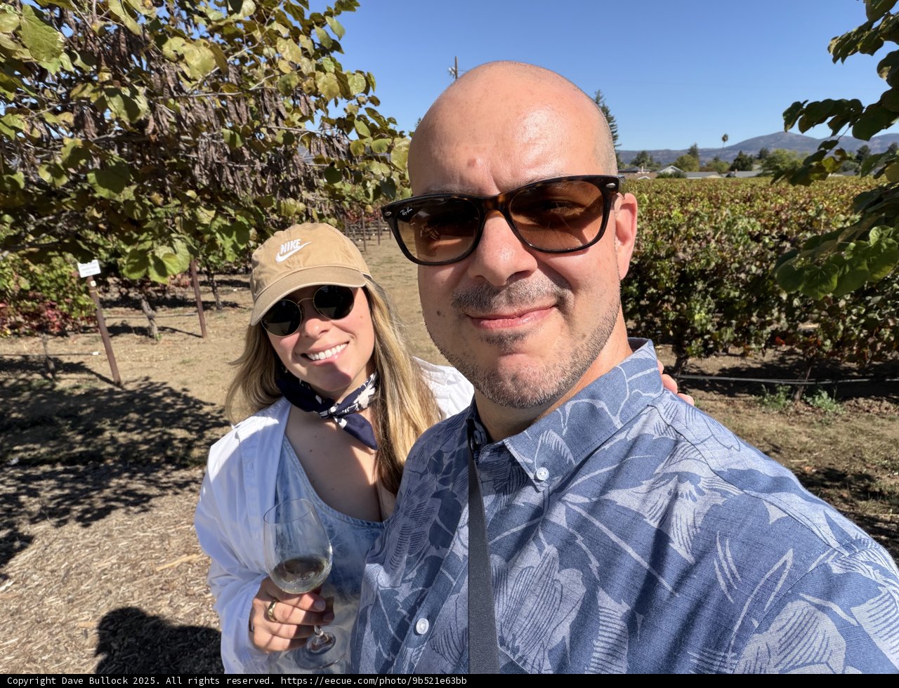Sunlit Stroll Through Napa's Vineyards