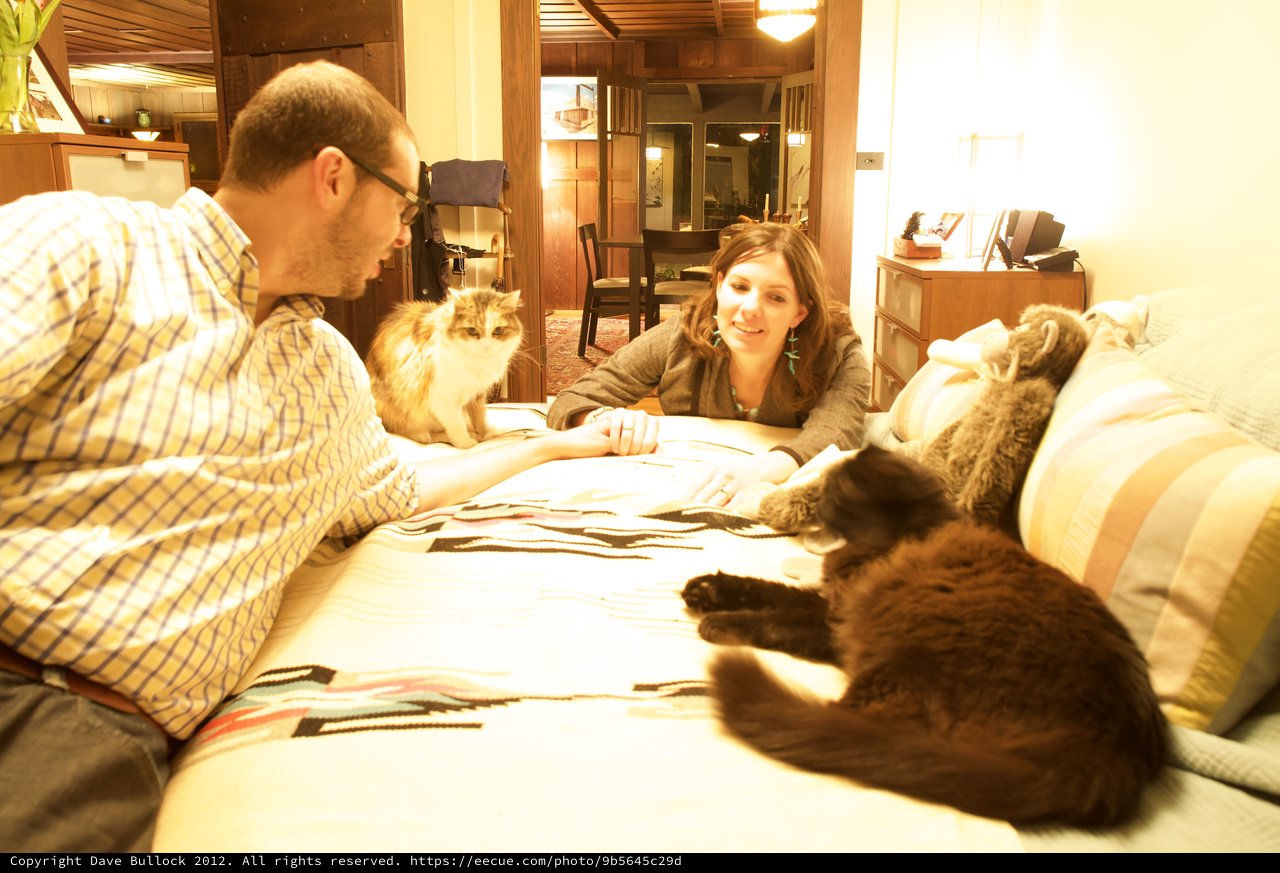 Couple and Their Cats Relaxing on Bed Together