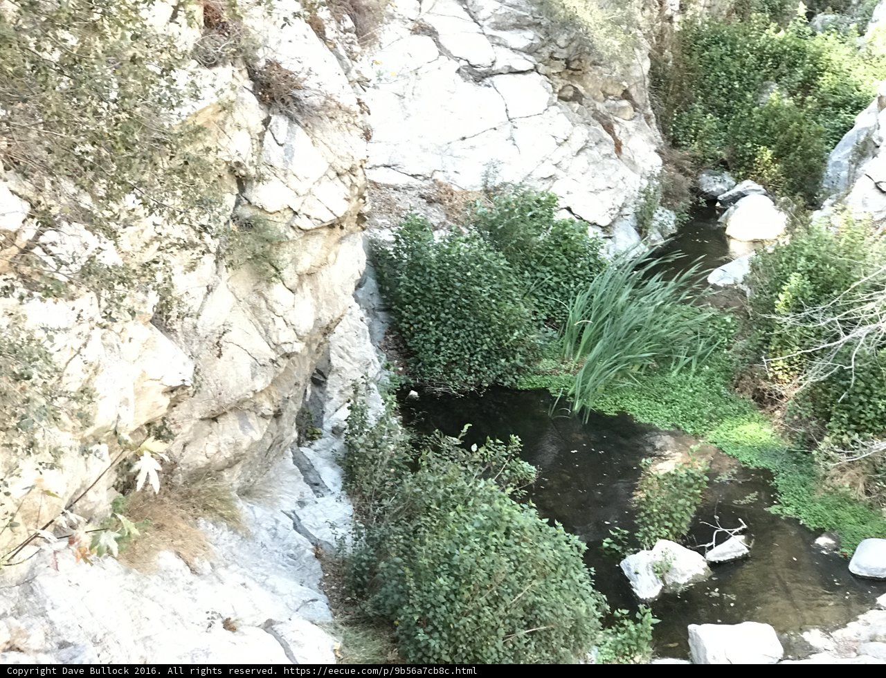 Serenity in the Wilderness
