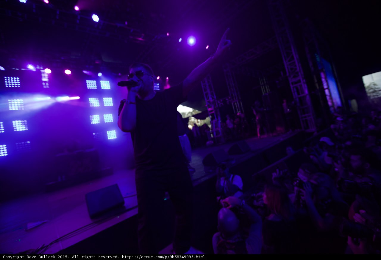 El-P Arm Raised Purple