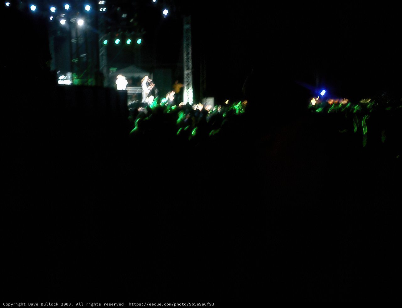 Green-Lit Night: A Concert Crowd