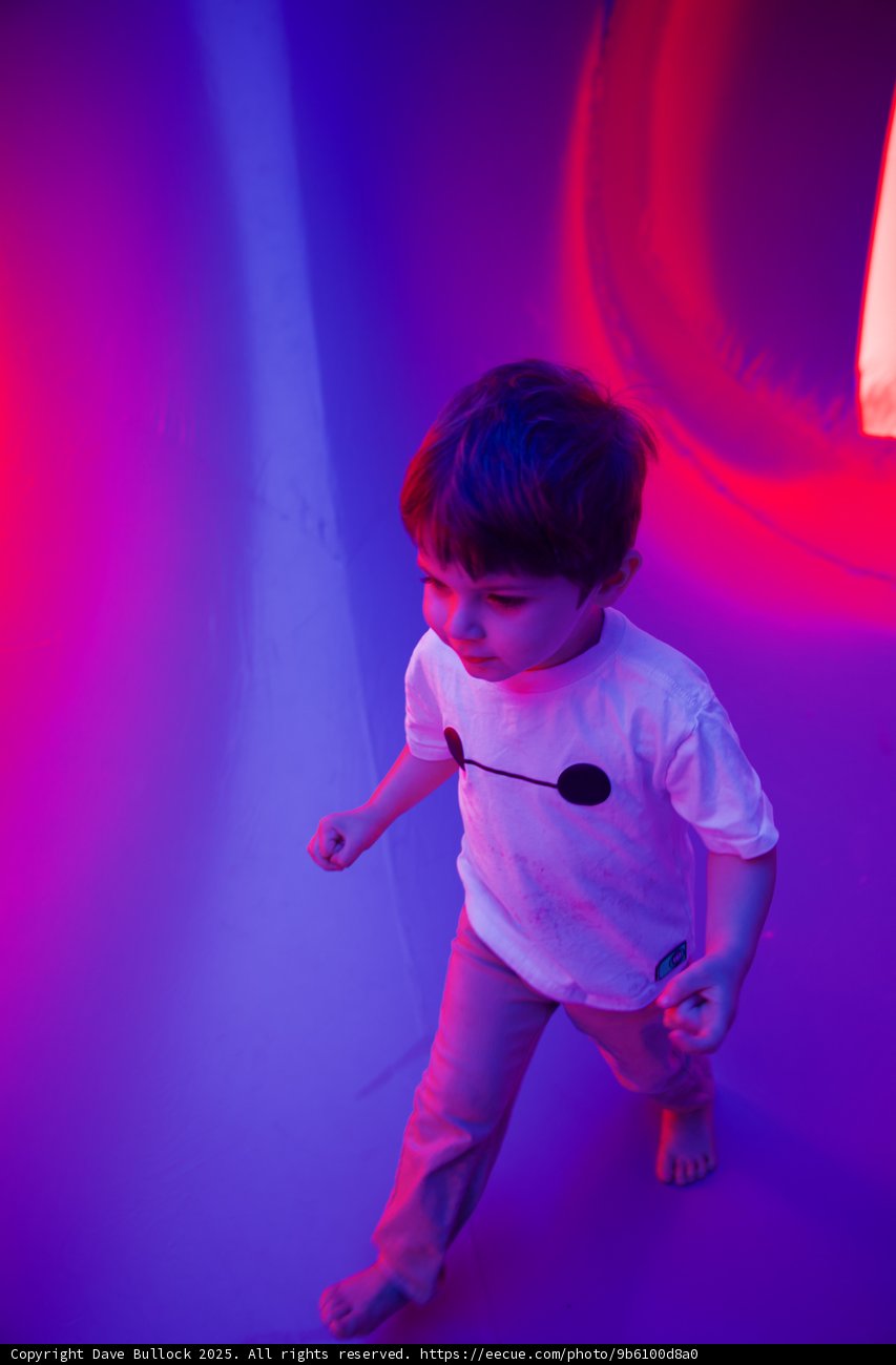 Exploring the Lights