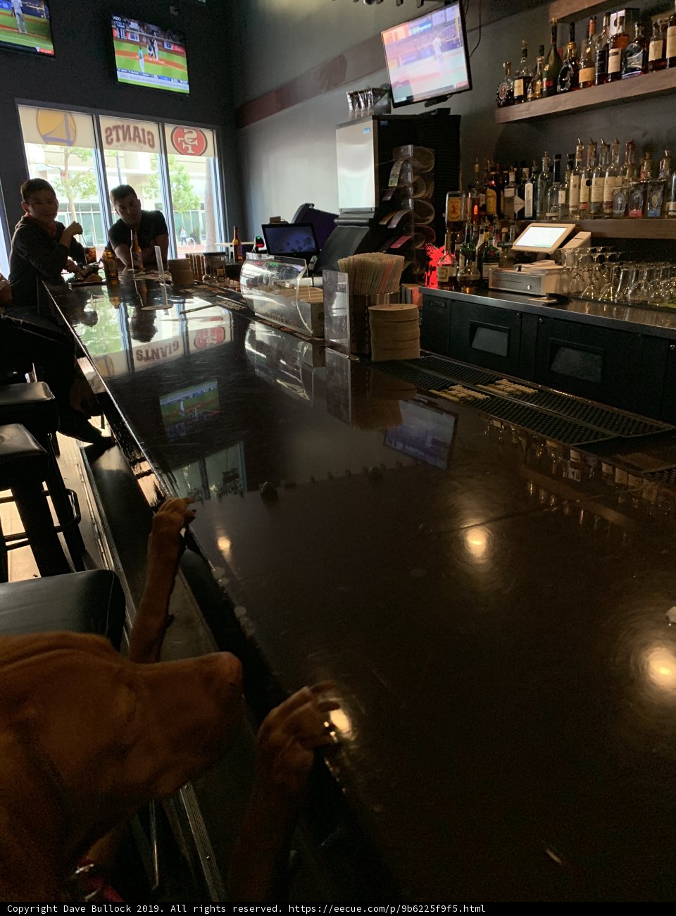 Man's Best Drinking Buddy
