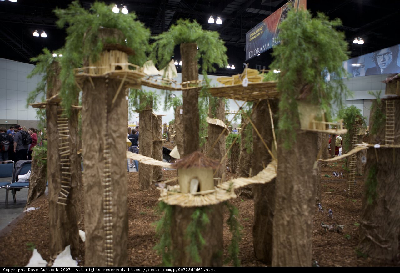 The Wooded Shelter