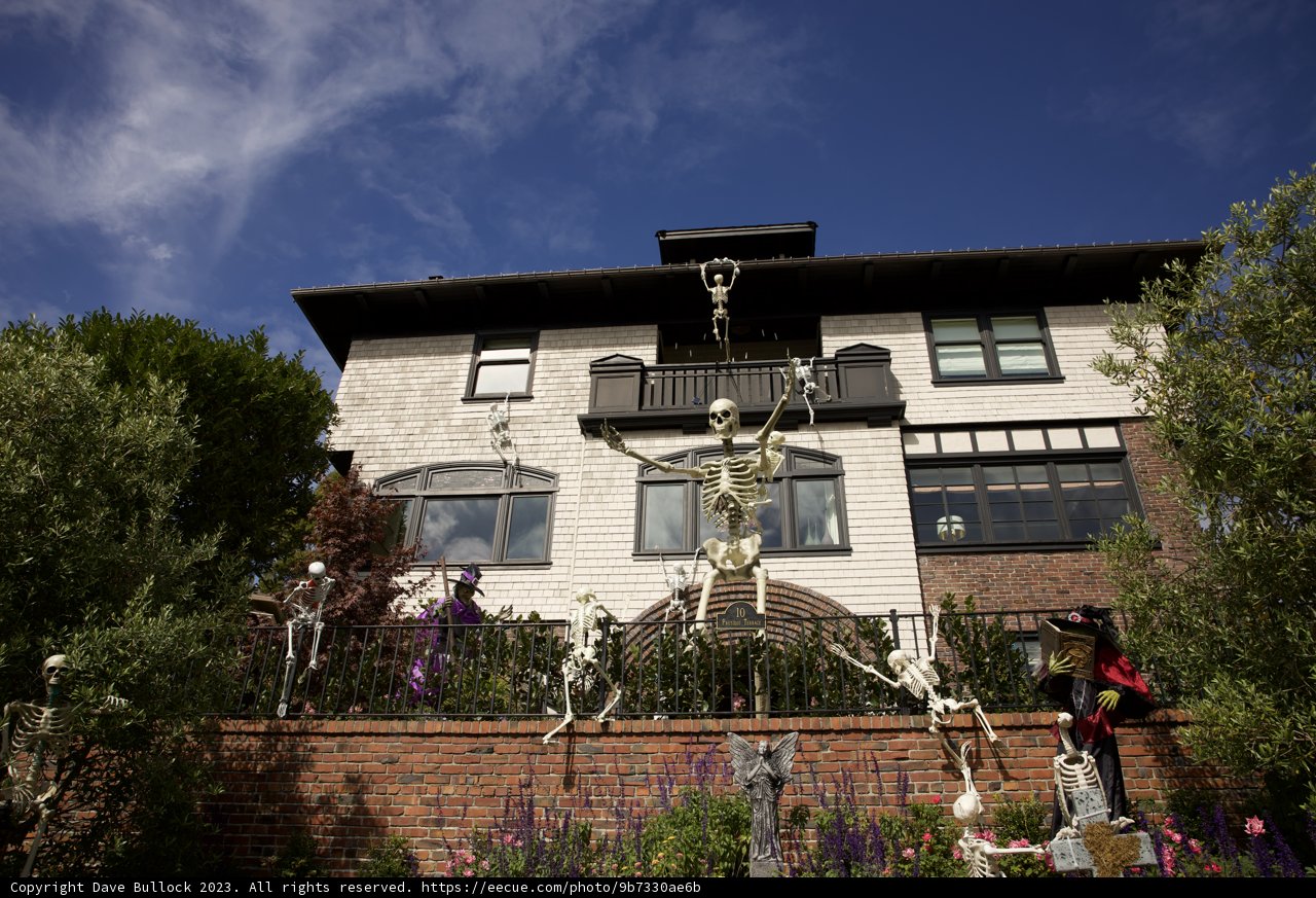Surreal Halloween Scenery in San Francisco