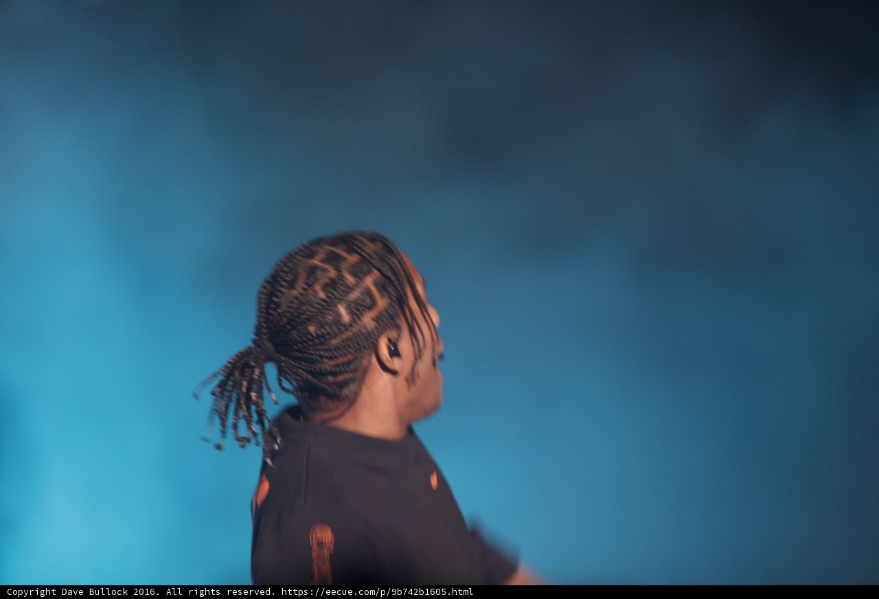 Flying Dreads