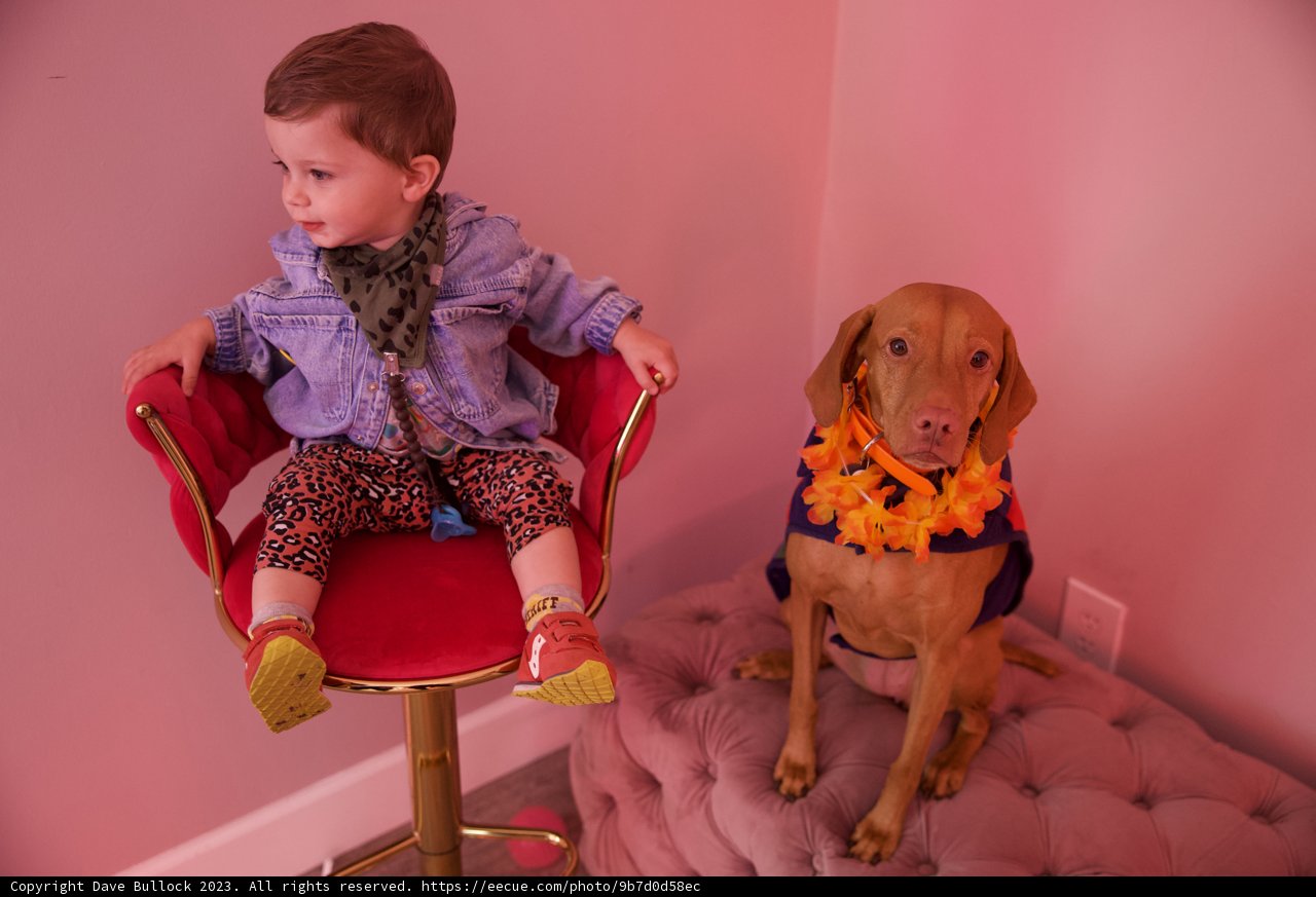 Celebrating Hi-Li's 5th Birthday with Furry Friend