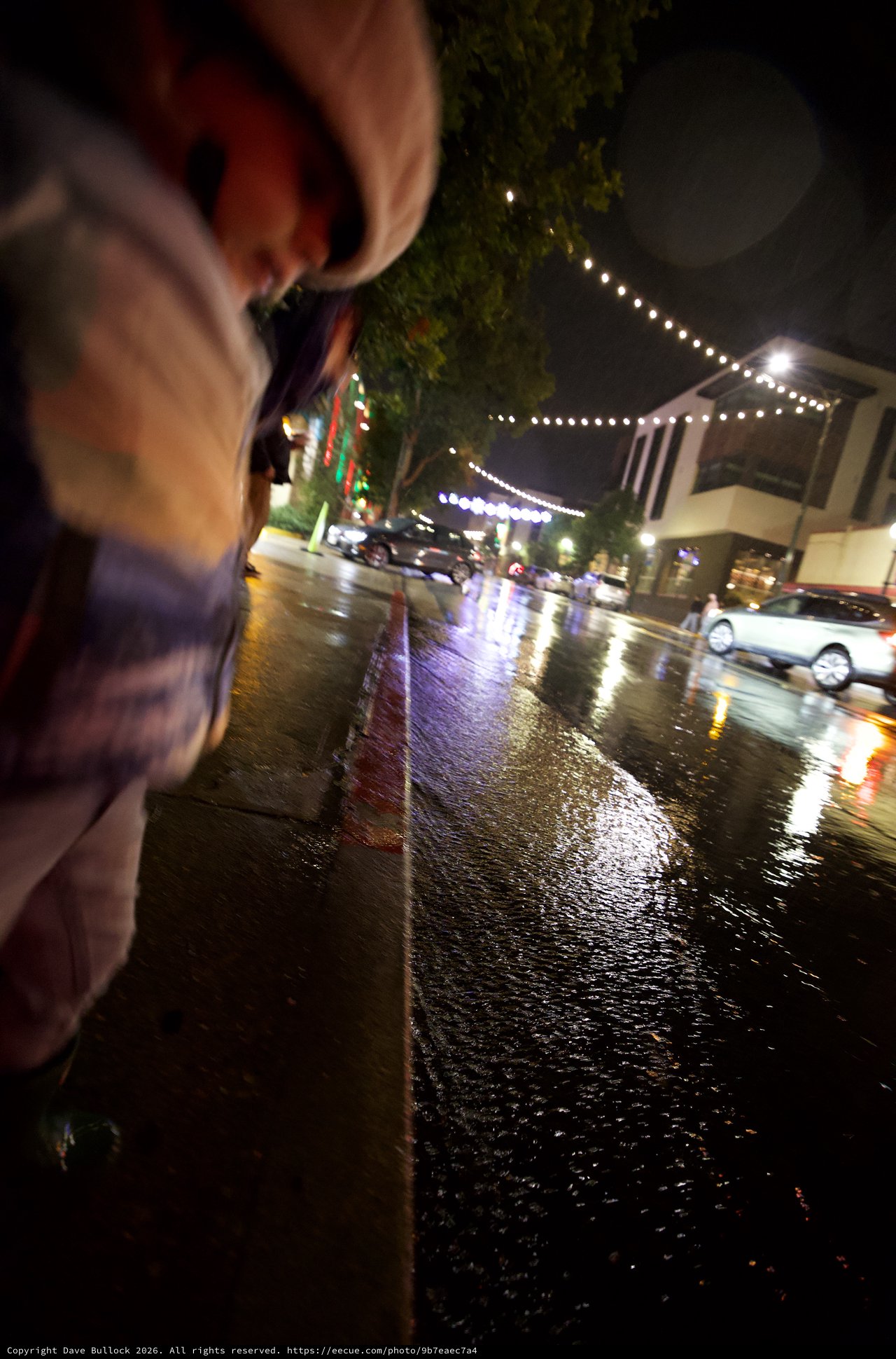 Rainy Night Street Scene with String Lights