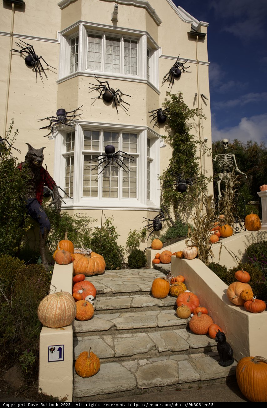 Spooky San Francisco Home: A Halloween Blast!
