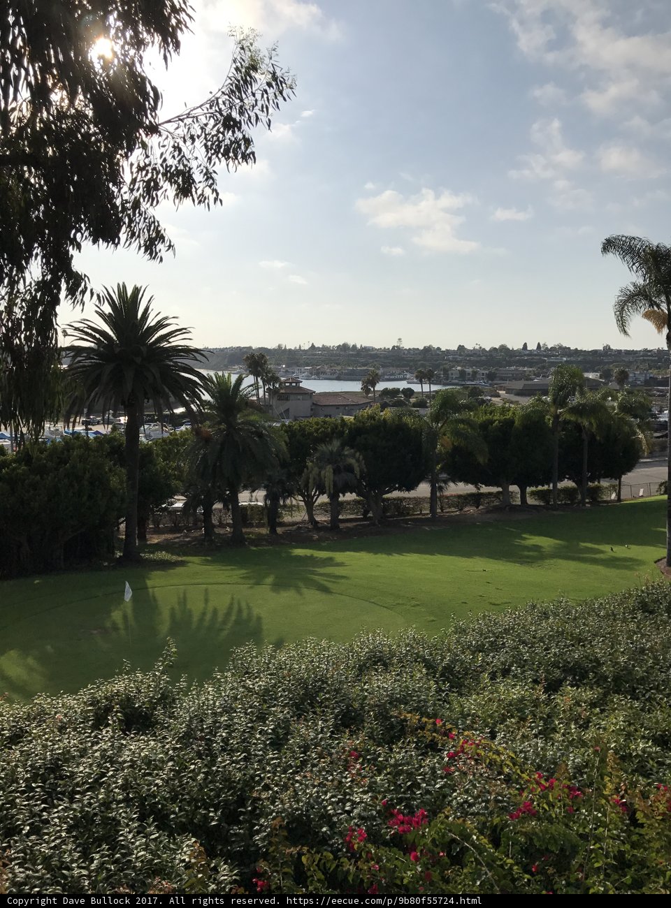 Serene Summer Scenery at the Golf Course