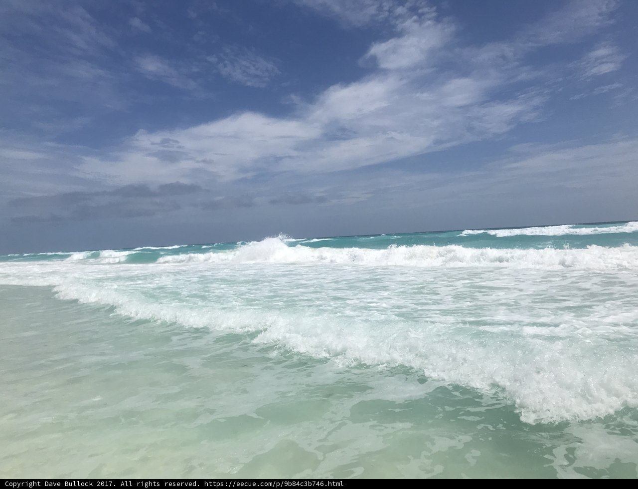 Seaside Serenity
