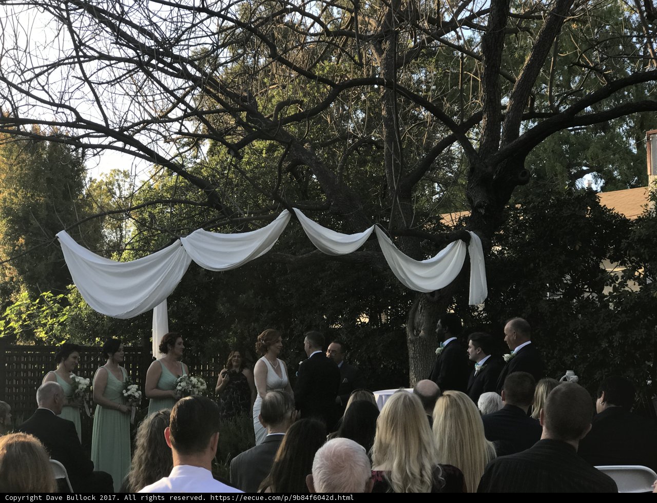 A Joyous Wedding Celebration in a Serene Park