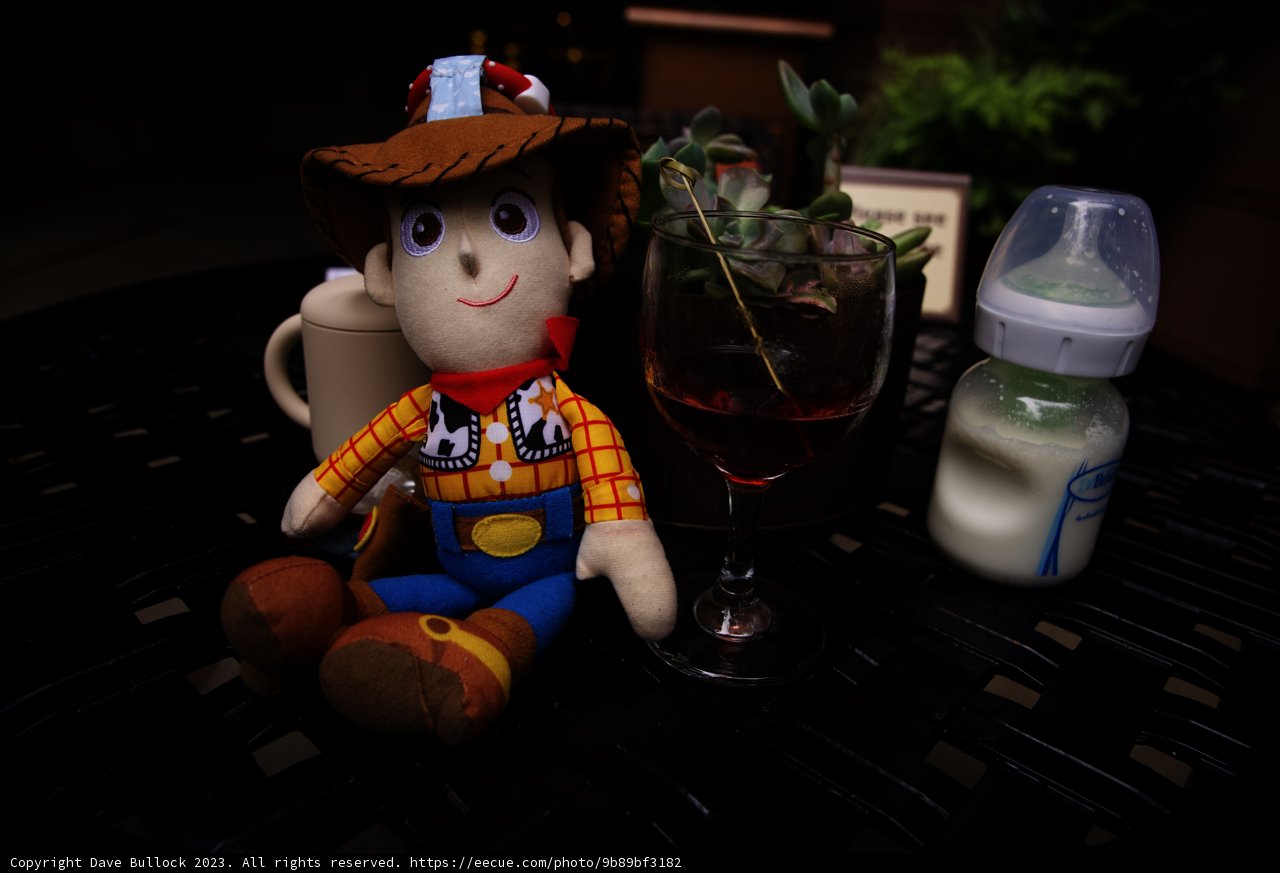 Cowboy's Wine Break at Disneyland