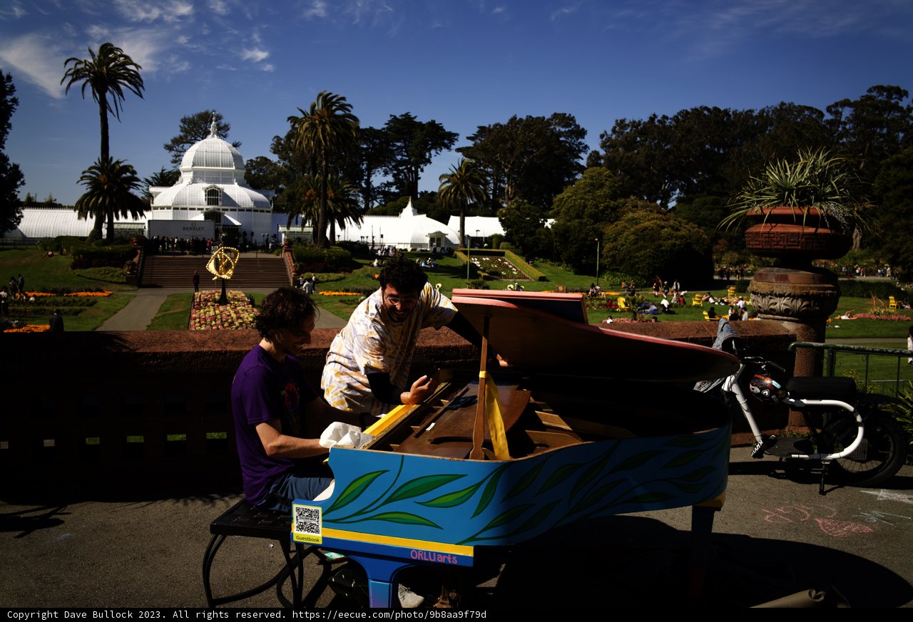 Summer Sonata: A Musical Interlude Amidst Nature