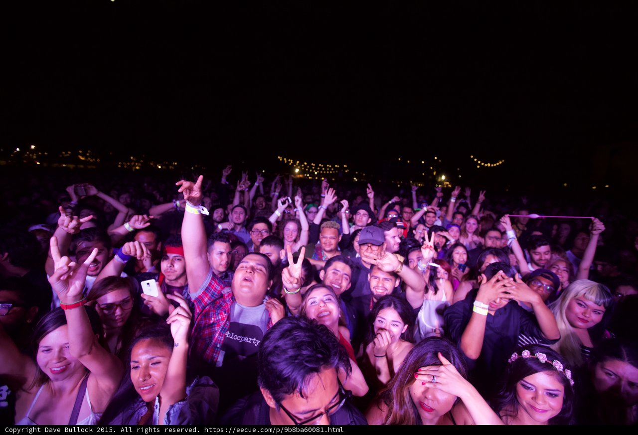 Enthusiastic Festival Crowd