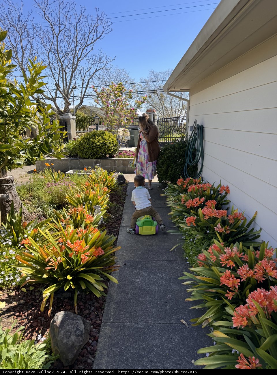 Nature's Stroll in Sebastopol