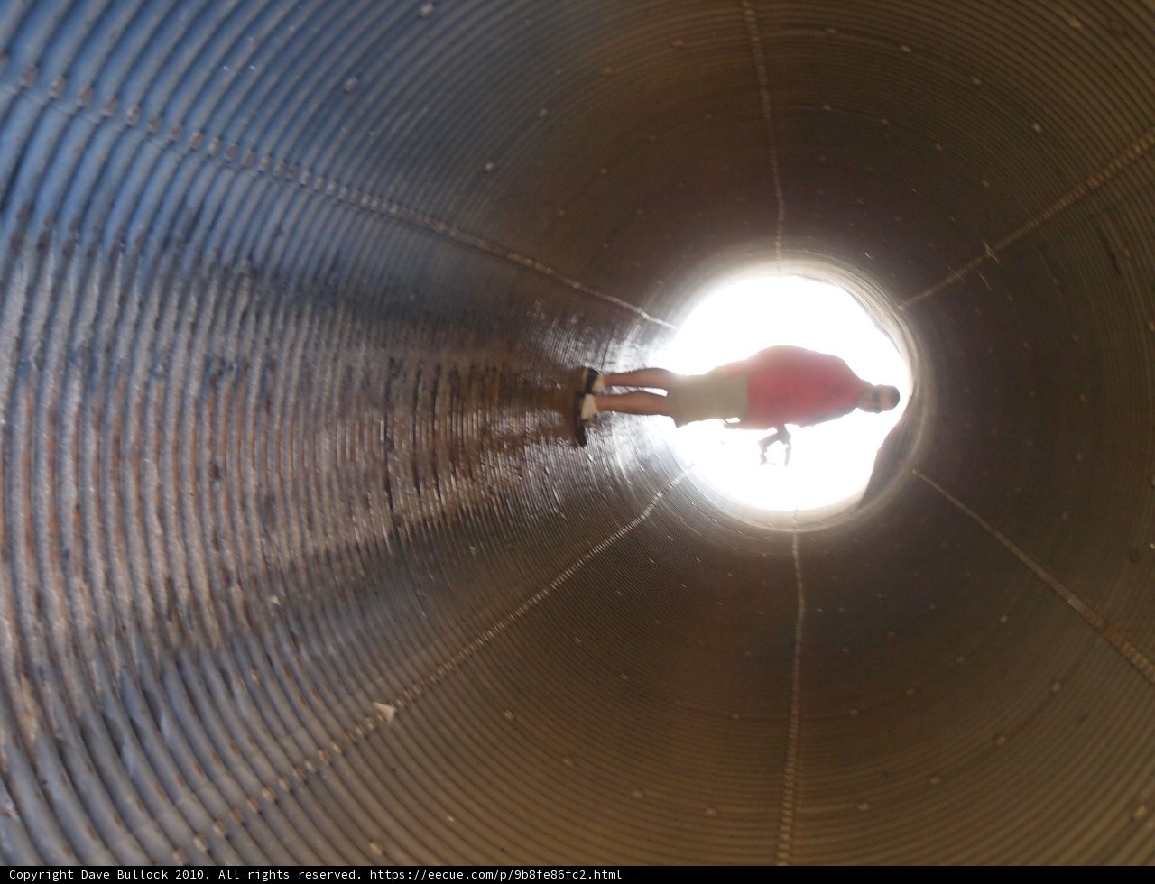 Through the Tunnel