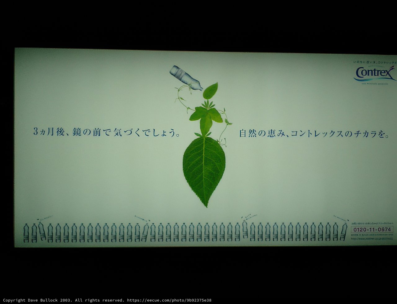 The Herbal Leaf Plant Poster