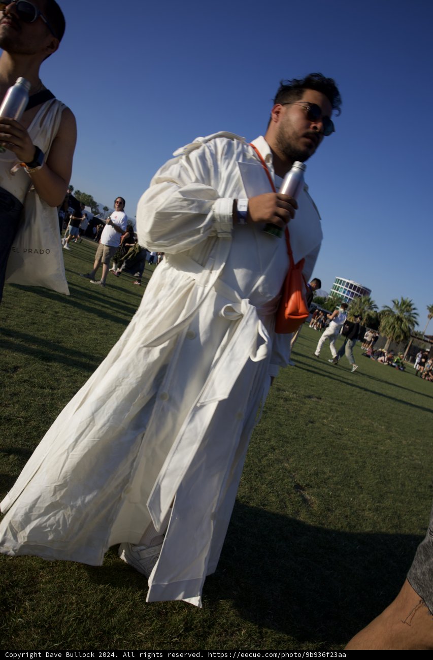 Elegance in Motion at Coachella 2024