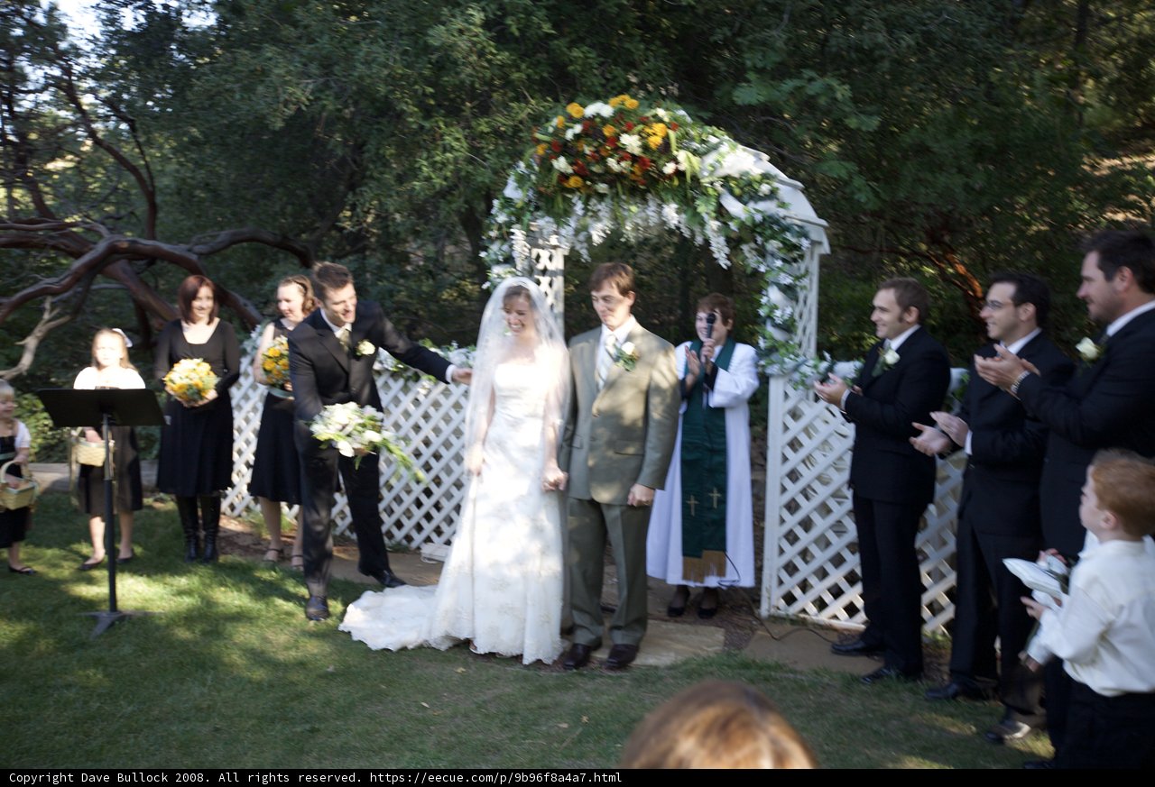 The Truitt Wedding: A Dreamy Backyard Affair
