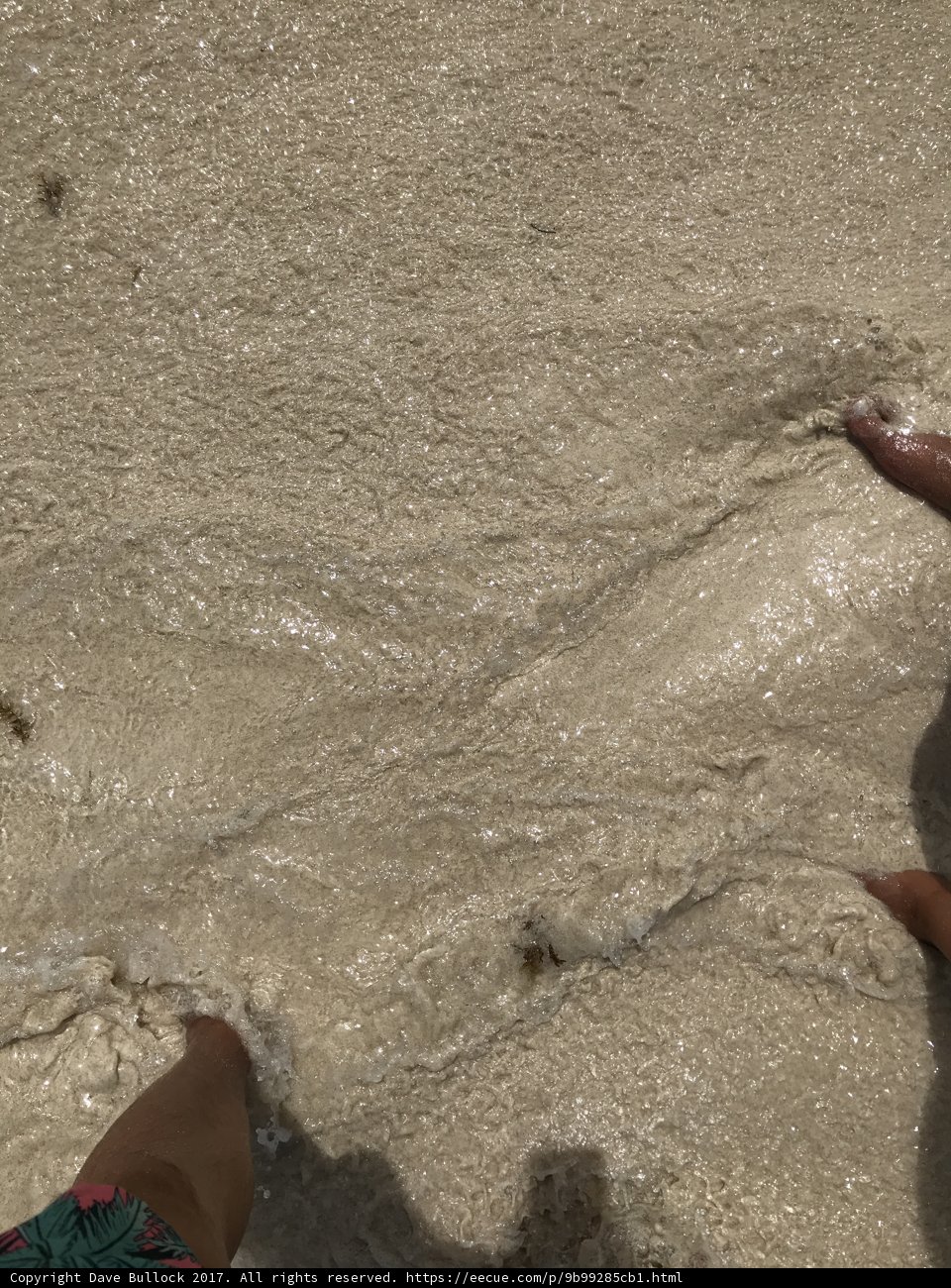 Sandy Toes