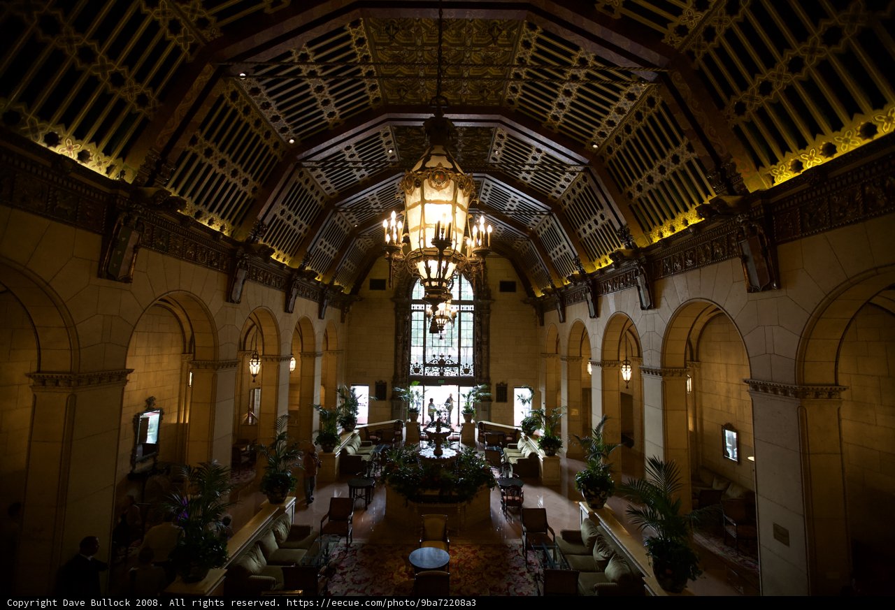 Grandeur of the Hotel Lobby