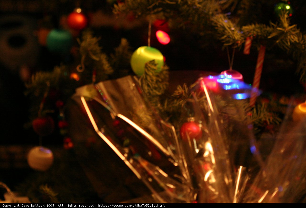 Festive Tree Aglow