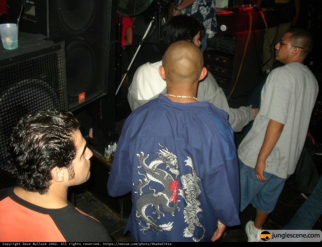 Nightclub Gathering