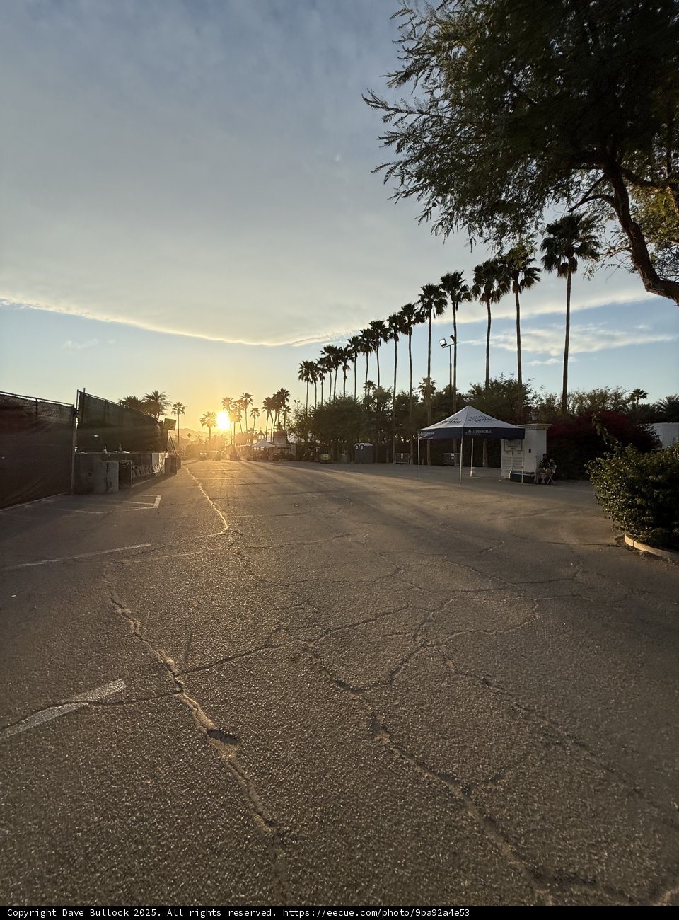 Golden Hour at the Empire Polo Club