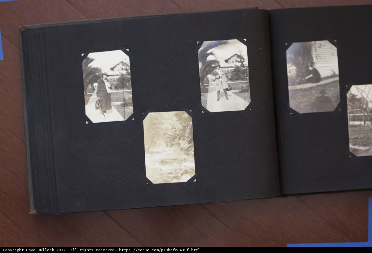 Family Album of the Bullock Curtis