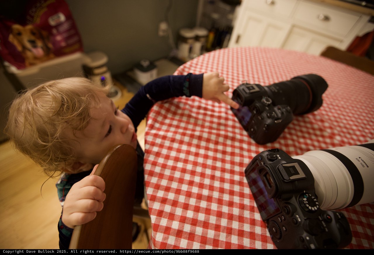Young Photographer Learning with Two Cameras at Home