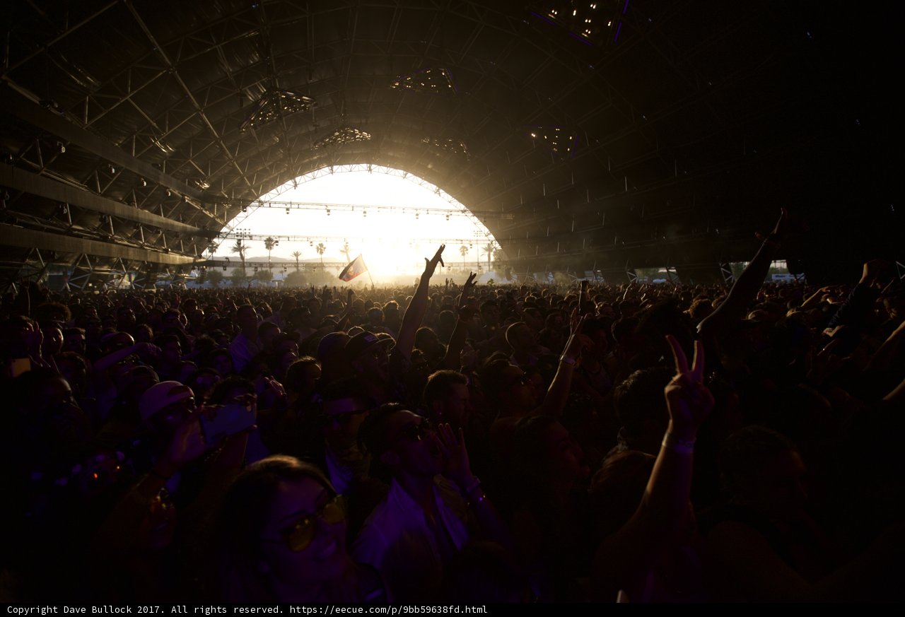 Electric Crowd at Coachella