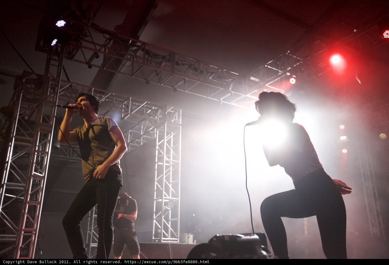 Spotlight on Rock Concert Performers