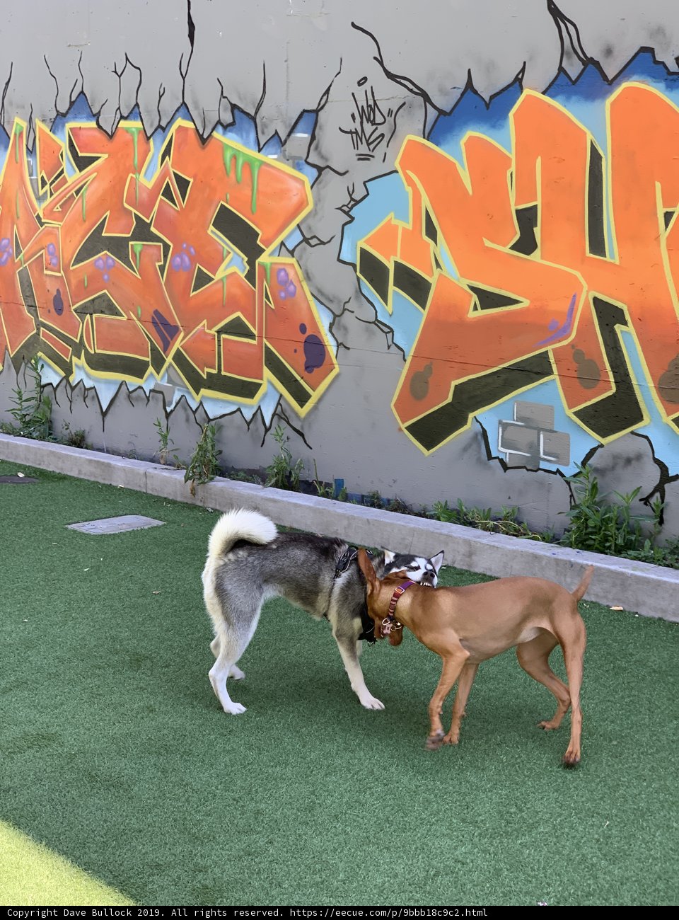 Artistic Playtime