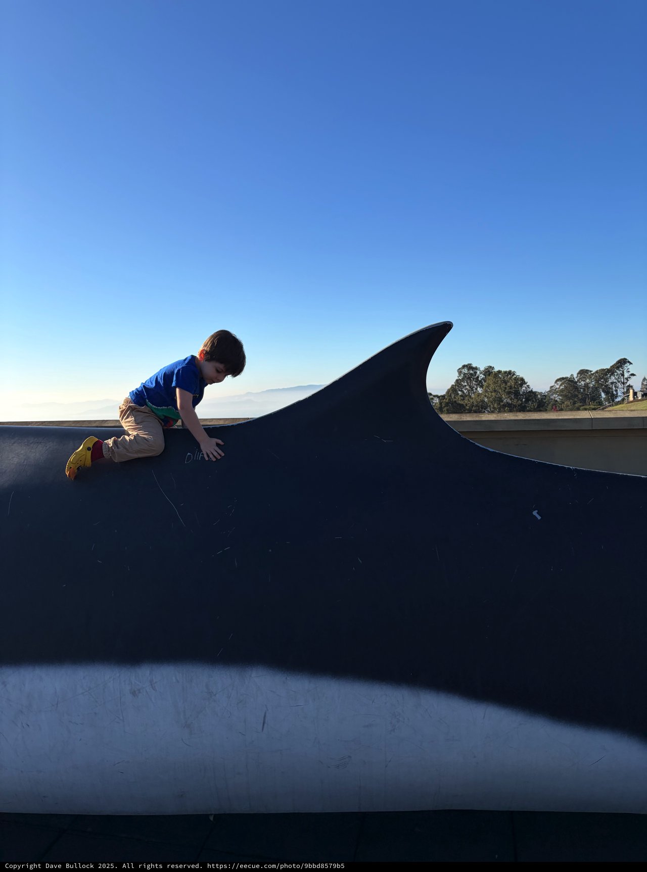Child Riding Giant Whale Sculpture at Dusk